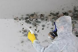 Best Air Quality Testing for Mold Spores in Myersville, MD